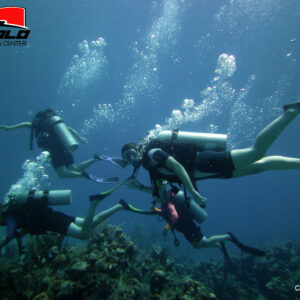 Clases de buceo: Aguas Abiertas PADI